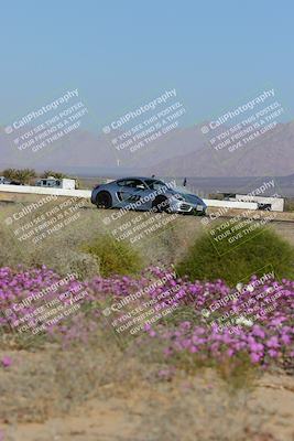 media/Jan-29-2023-PCA San Diego (Sun) [[aa0301ccc2]]/Yellow Group/Session 1 (Turn 15 Bloom)/